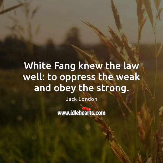White Fang knew the law well: to oppress the weak and obey the strong. Jack London Picture Quote