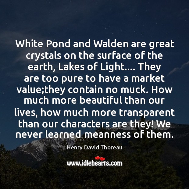White Pond and Walden are great crystals on the surface of the Henry David Thoreau Picture Quote