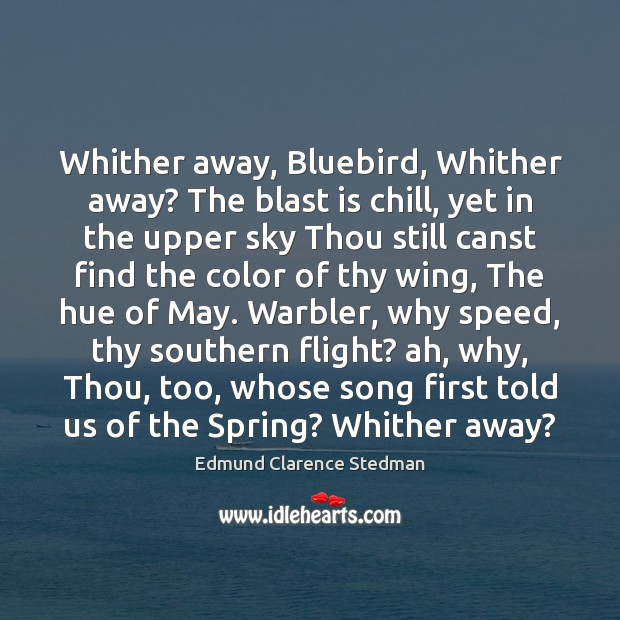 Whither away, Bluebird, Whither away? The blast is chill, yet in the Image