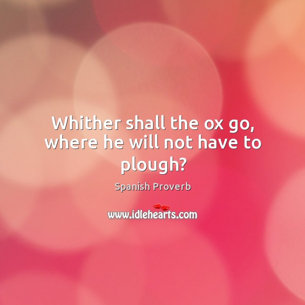 Whither shall the ox go, where he will not have to plough? Image