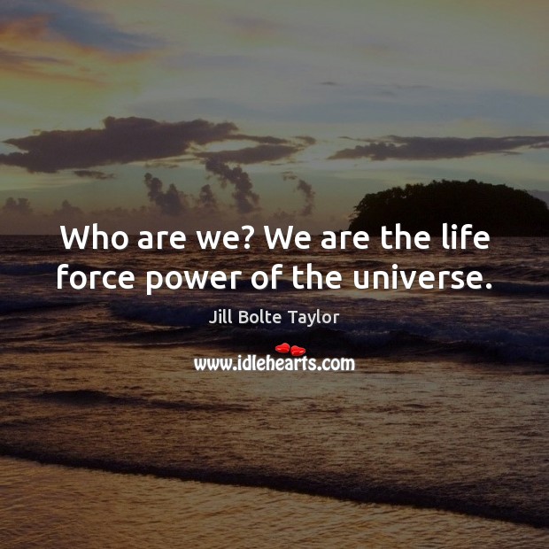 Who are we? We are the life force power of the universe. Jill Bolte Taylor Picture Quote