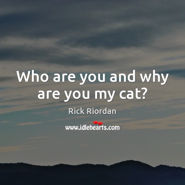 Who are you and why are you my cat? Image