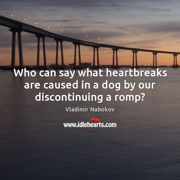 Who can say what heartbreaks are caused in a dog by our discontinuing a romp? Vladimir Nabokov Picture Quote