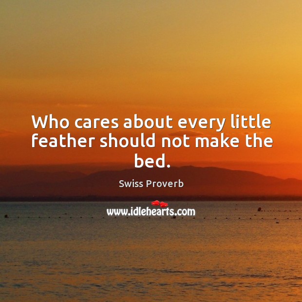 Who cares about every little feather should not make the bed. Image