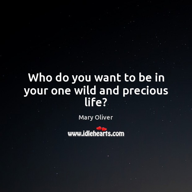 Who do you want to be in your one wild and precious life? Image
