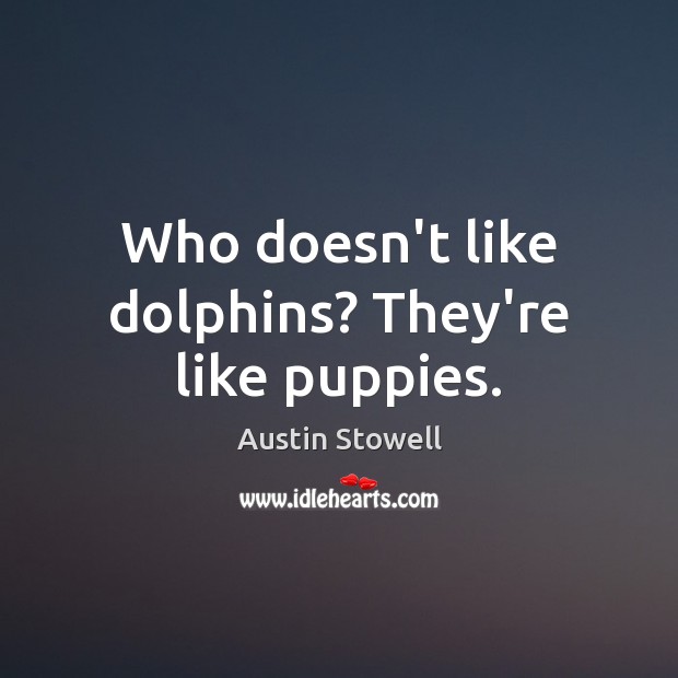 Who doesn’t like dolphins? They’re like puppies. Austin Stowell Picture Quote