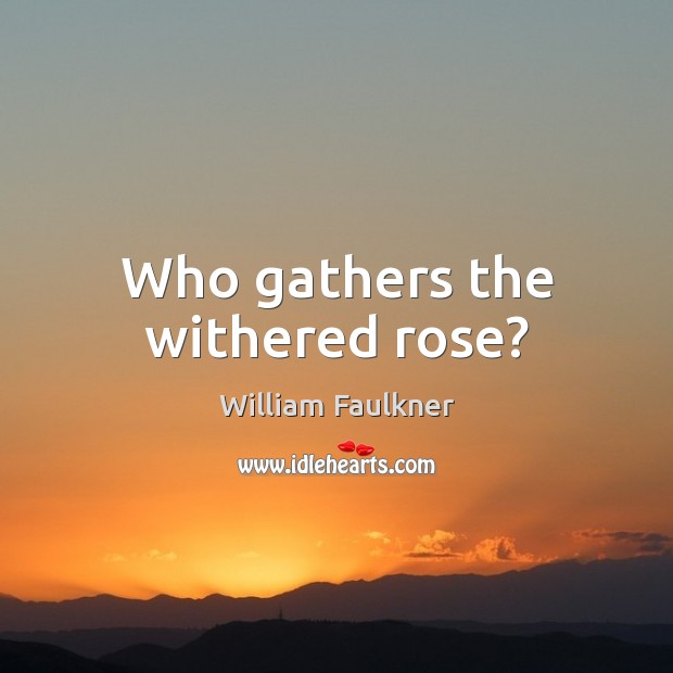 Who gathers the withered rose? Image