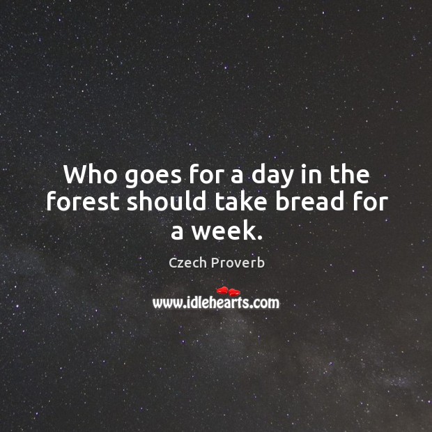 Who goes for a day in the forest should take bread for a week. Czech Proverbs Image