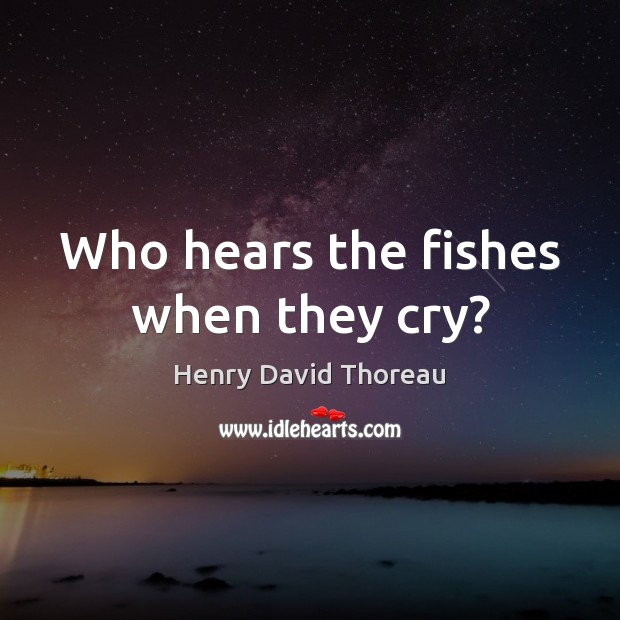 Who hears the fishes when they cry? 