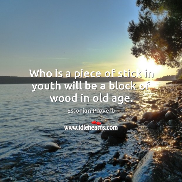 Who is a piece of stick in youth will be a block of wood in old age. Estonian Proverbs Image