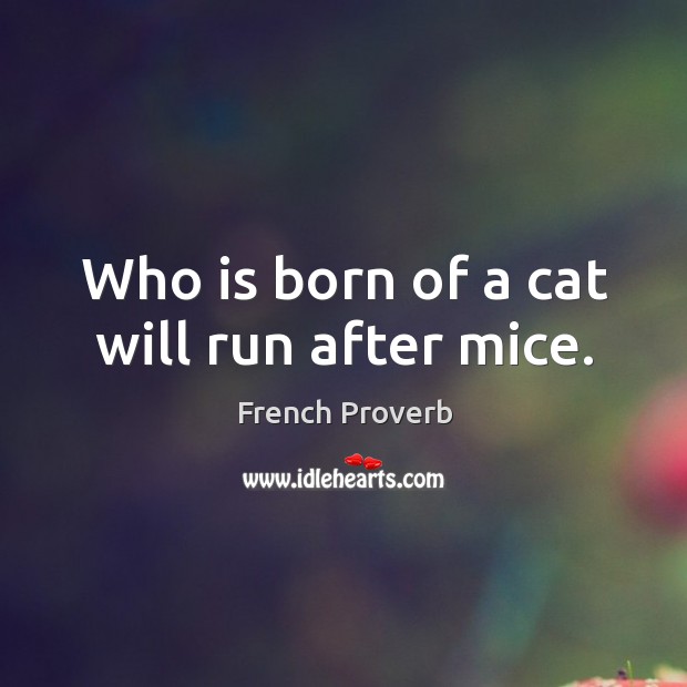 Who is born of a cat will run after mice. French Proverbs Image