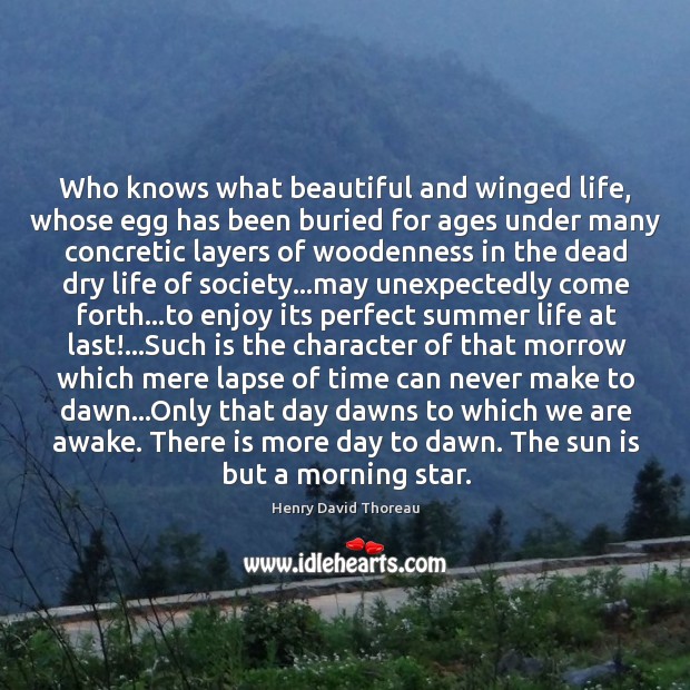 Who knows what beautiful and winged life, whose egg has been buried Image