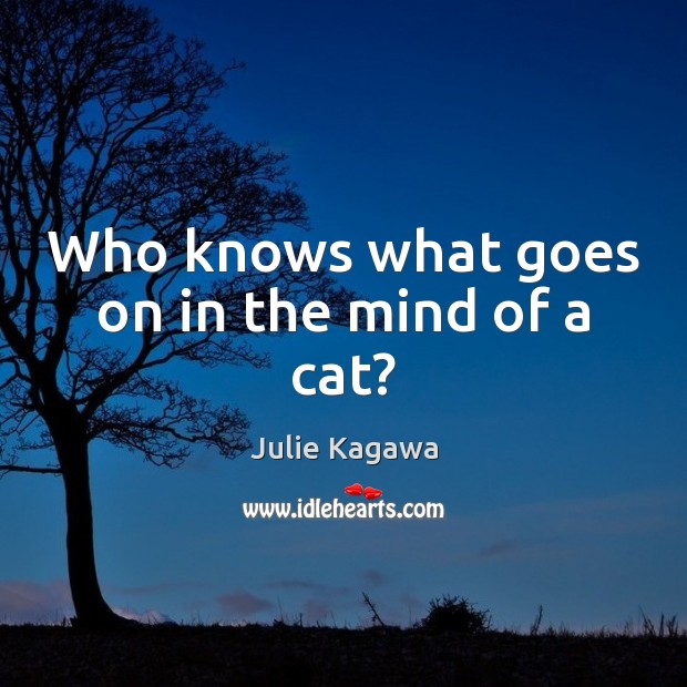Who knows what goes on in the mind of a cat? Julie Kagawa Picture Quote