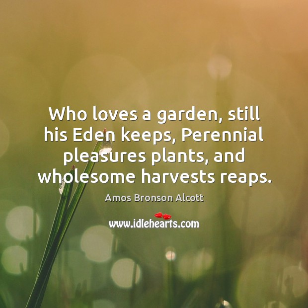 Who loves a garden, still his Eden keeps, Perennial pleasures plants, and Amos Bronson Alcott Picture Quote