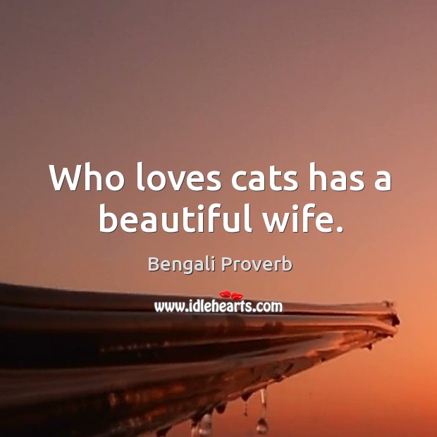 Who loves cats has a beautiful wife. Bengali Proverbs Image