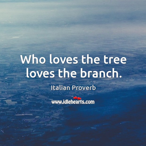 Who loves the tree loves the branch. Image