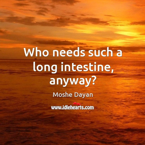Who needs such a long intestine, anyway? Moshe Dayan Picture Quote
