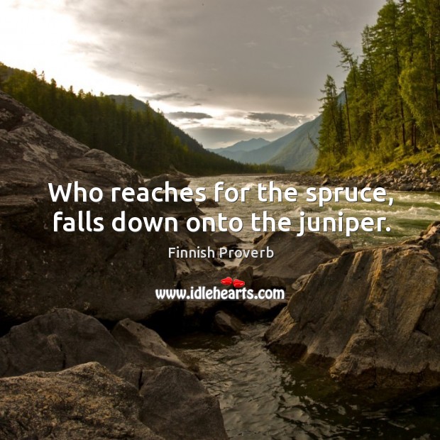 Who reaches for the spruce, falls down onto the juniper. Finnish Proverbs Image