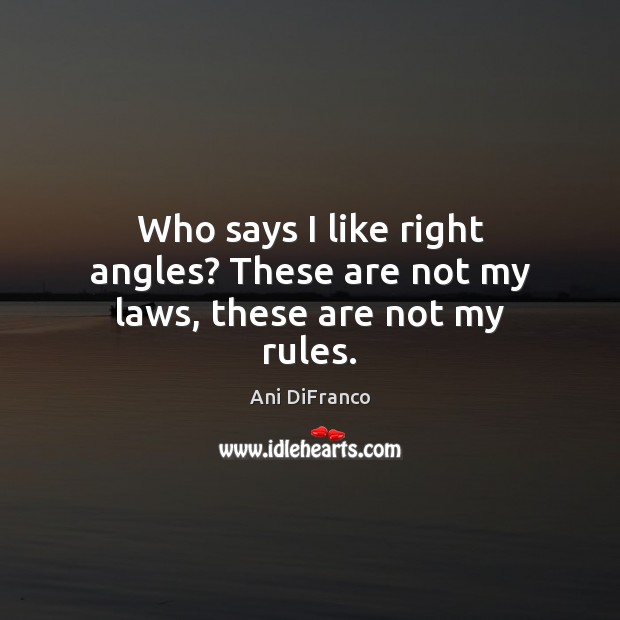 Who says I like right angles? These are not my laws, these are not my rules. Ani DiFranco Picture Quote