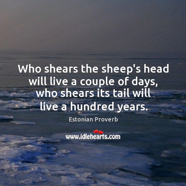 Who shears the sheep’s head will live a couple of days Estonian Proverbs Image