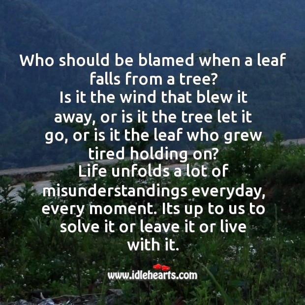 Who should be blamed when a leaf falls from a tree? Image