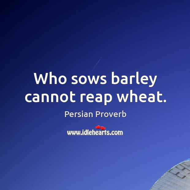 Who sows barley cannot reap wheat. Persian Proverbs Image