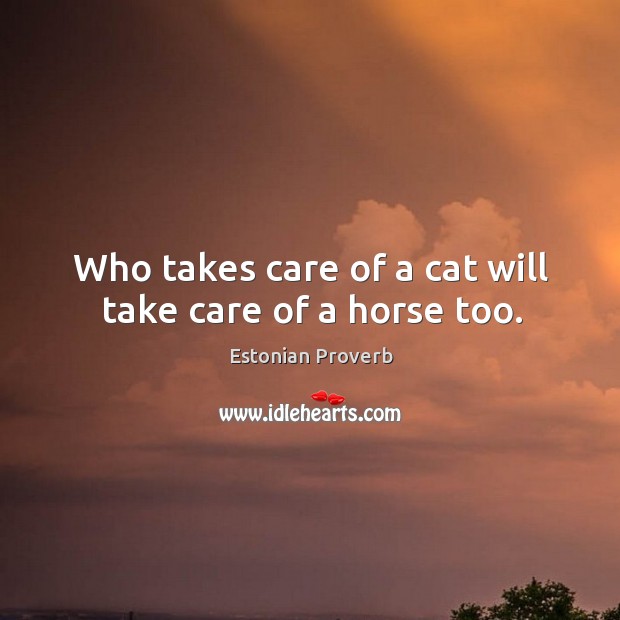Who takes care of a cat will take care of a horse too. Image