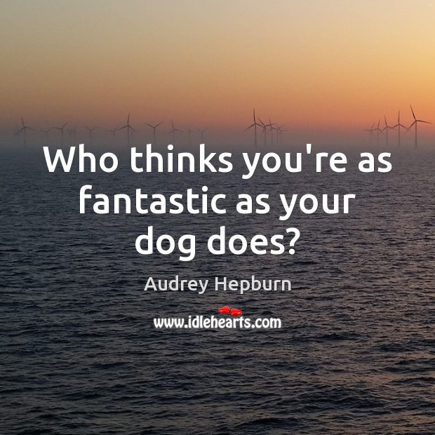 Who thinks you’re as fantastic as your dog does? Audrey Hepburn Picture Quote