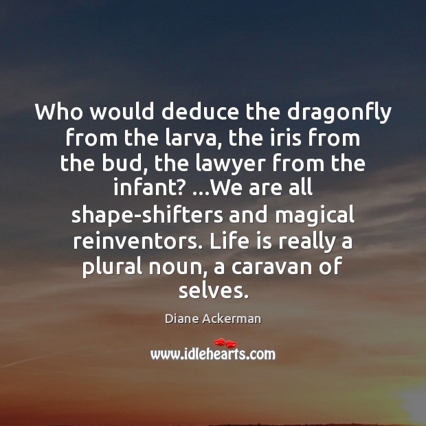 Who would deduce the dragonfly from the larva, the iris from the Diane Ackerman Picture Quote