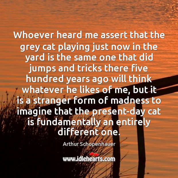 Whoever heard me assert that the grey cat playing just now in Arthur Schopenhauer Picture Quote