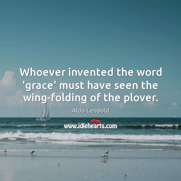 Whoever invented the word ‘grace’ must have seen the wing-folding of the plover. Aldo Leopold Picture Quote