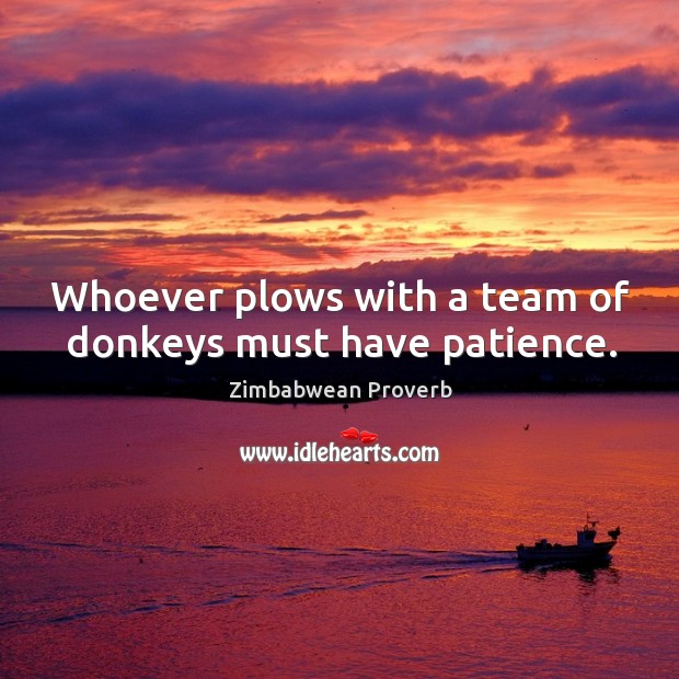 Whoever plows with a team of donkeys must have patience. Zimbabwean Proverbs Image