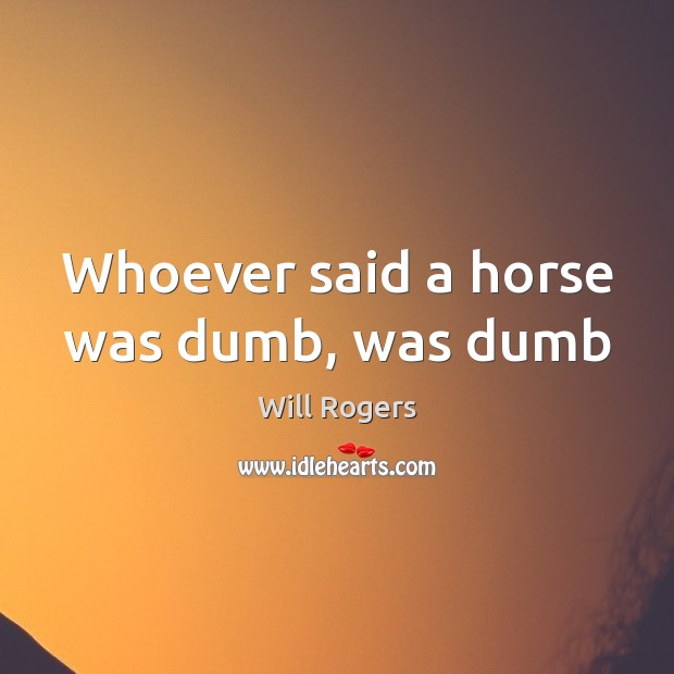 Whoever said a horse was dumb, was dumb Will Rogers Picture Quote