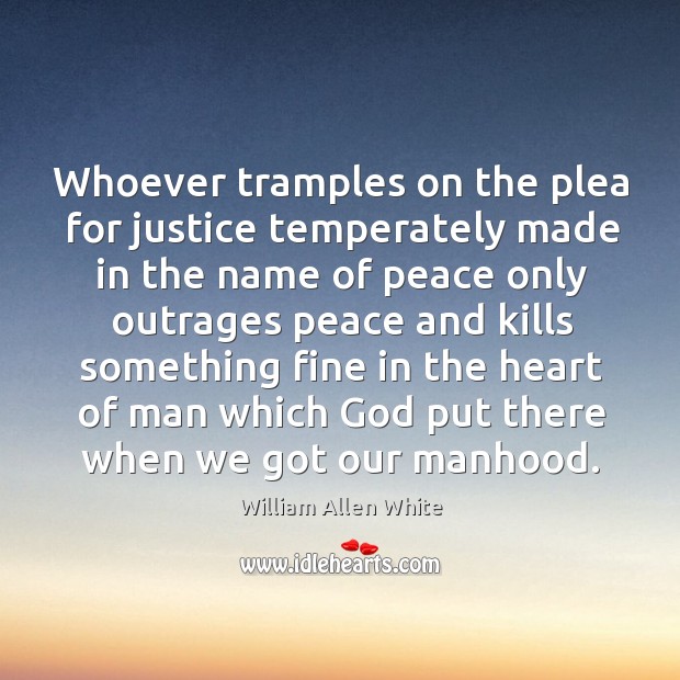 Whoever tramples on the plea for justice temperately made William Allen White Picture Quote