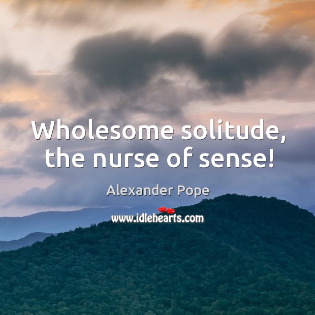 Wholesome solitude, the nurse of sense! Alexander Pope Picture Quote