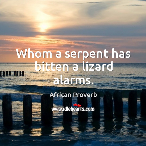 Whom a serpent has bitten a lizard alarms. Image