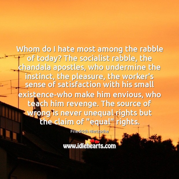 Whom do I hate most among the rabble of today? The socialist Friedrich Nietzsche Picture Quote