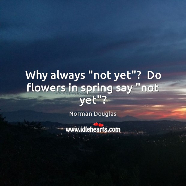 Why always “not yet”?  Do flowers in spring say “not yet”? Norman Douglas Picture Quote