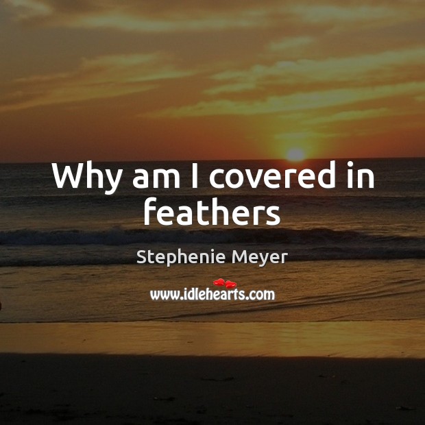 Why am I covered in feathers Stephenie Meyer Picture Quote