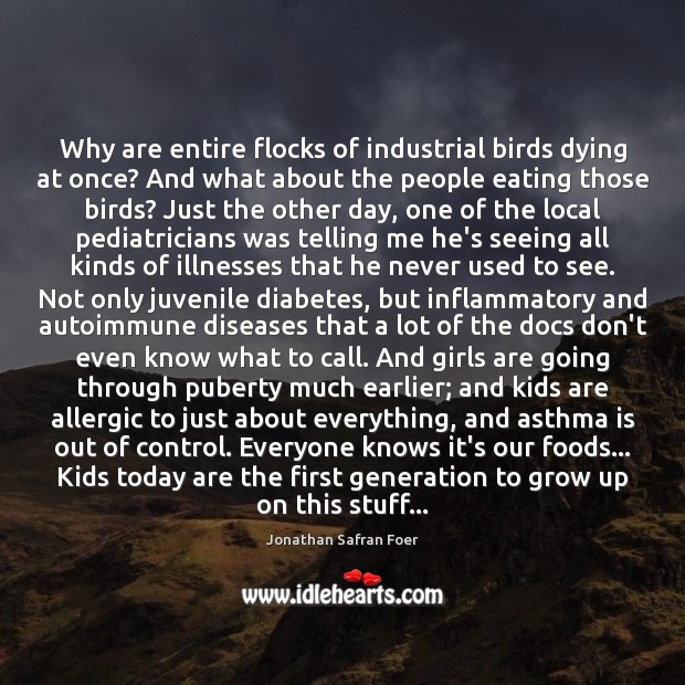 Why are entire flocks of industrial birds dying at once? And what Jonathan Safran Foer Picture Quote