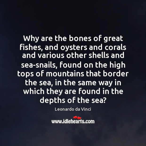 Why are the bones of great fishes, and oysters and corals and Leonardo da Vinci Picture Quote