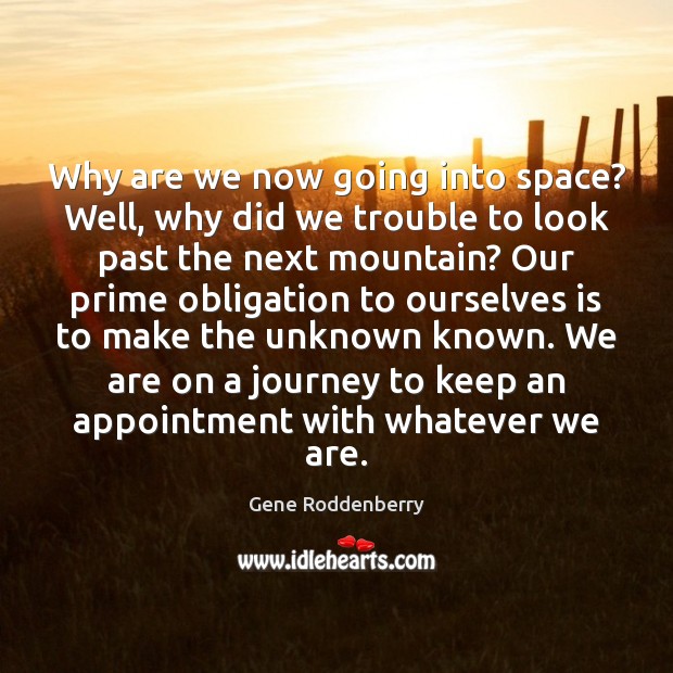 Why are we now going into space? Well, why did we trouble Gene Roddenberry Picture Quote