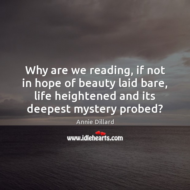 Why are we reading, if not in hope of beauty laid bare, Annie Dillard Picture Quote