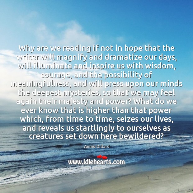 Why are we reading if not in hope that the writer will Annie Dillard Picture Quote