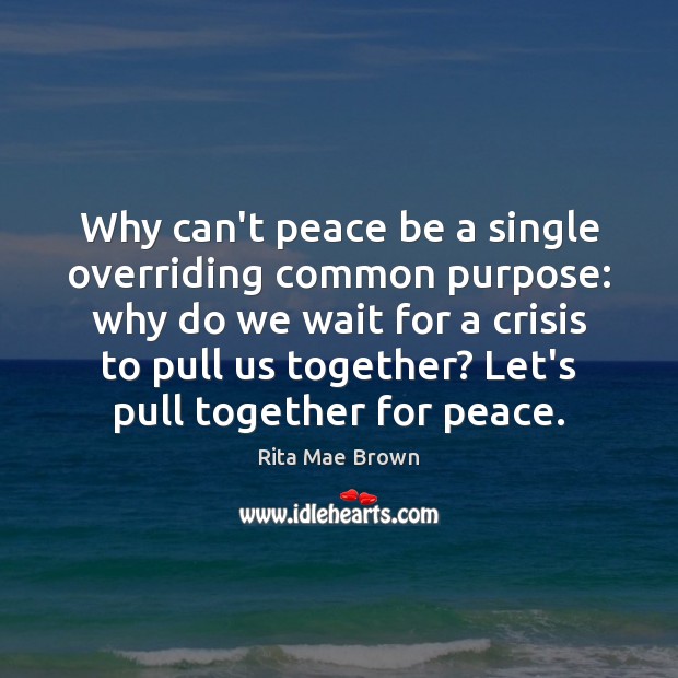 Why can’t peace be a single overriding common purpose: why do we Rita Mae Brown Picture Quote