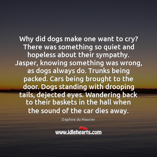 Why did dogs make one want to cry? There was something so 