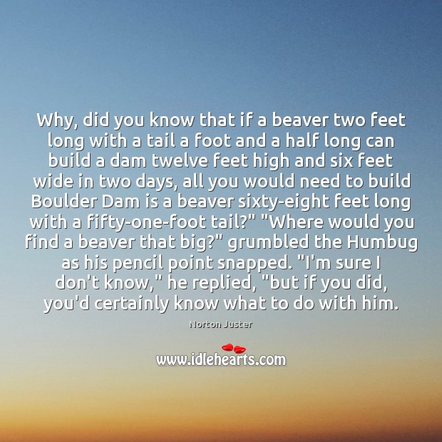 Why, did you know that if a beaver two feet long with Norton Juster Picture Quote