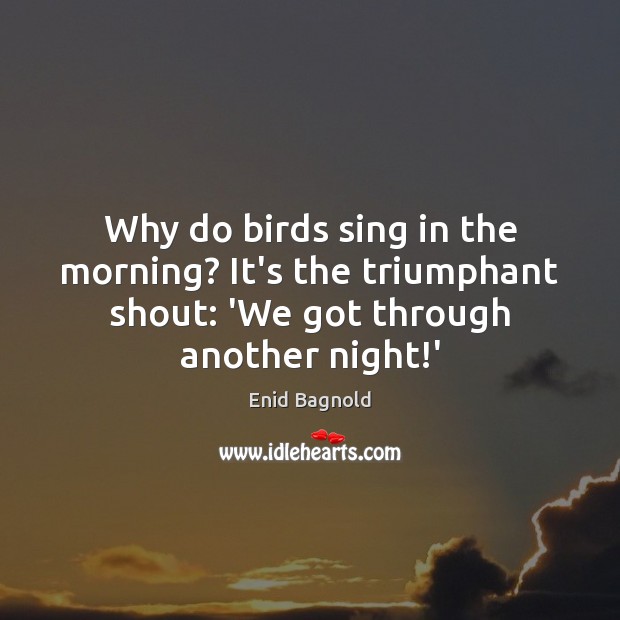 Why do birds sing in the morning? It’s the triumphant shout: ‘We Enid Bagnold Picture Quote