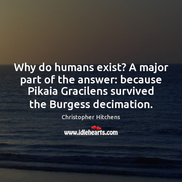 Why do humans exist? A major part of the answer: because Pikaia Christopher Hitchens Picture Quote