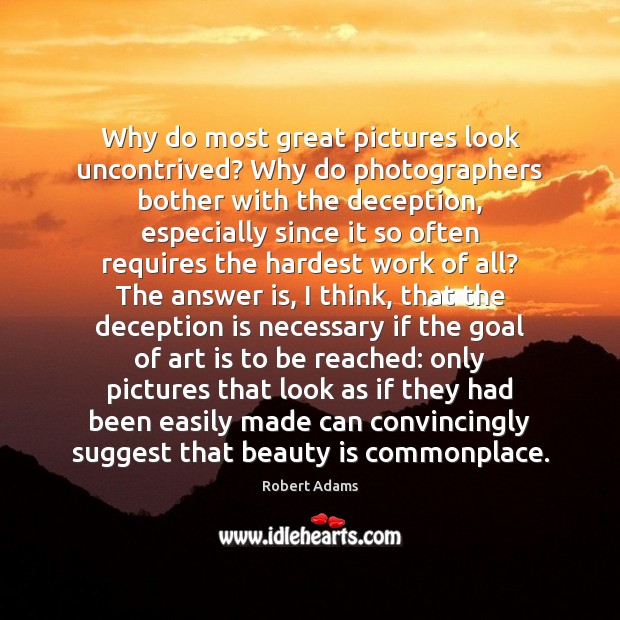 Why do most great pictures look uncontrived? Why do photographers bother with Robert Adams Picture Quote